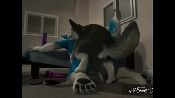 Watch Gay furry fox porn on Free Porn - PornTube