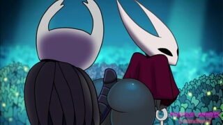 Hollow knight hornet hentai