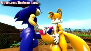 Sonic porn gay