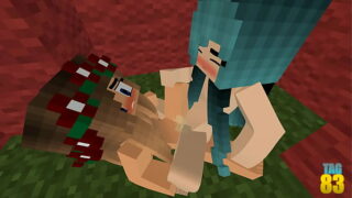 Minecraft sex assasin