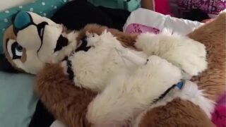 Murrsuit porn