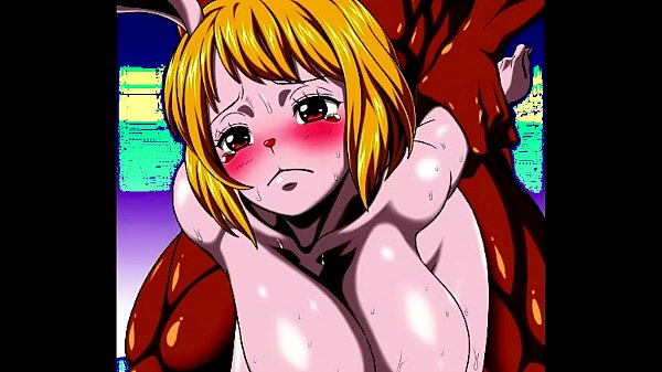 One Piece Nel Zel Formula Koala - Mega Porn Pics