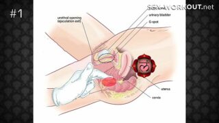 How to cum without masterbating