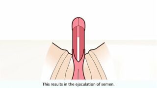 Male masterbation orgasm