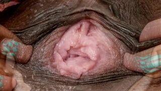 Pocket pussy in vagina