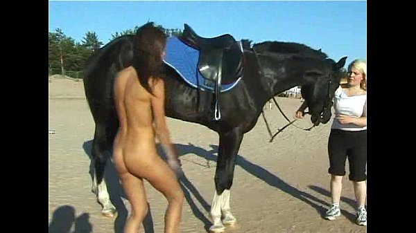 Watch Orgasm while riding horse on Free Porn - PornTube