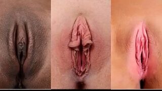 Video with all kinds of hot pussy